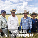 無添加ドッグフード「糀とブラン」ウェットタイプ スパウトパウチ(1個)