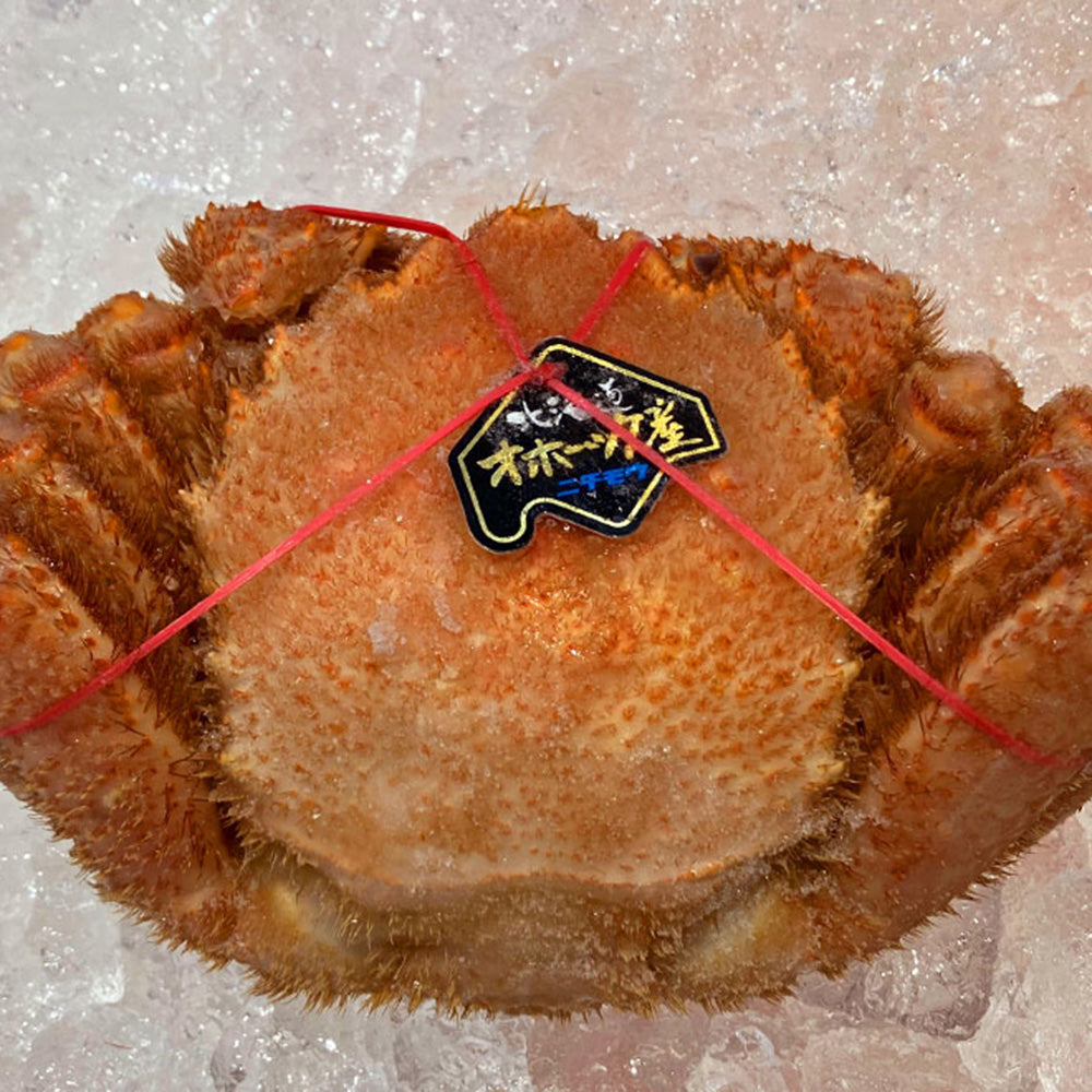 かに通販お取り寄せ｜【北海道オホーツク産】毛蟹[450g前後]ご家庭で