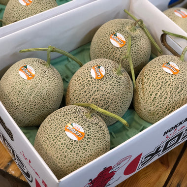 【北海道富良野産】富良野メロン［1.6〜2kg以上・5玉］