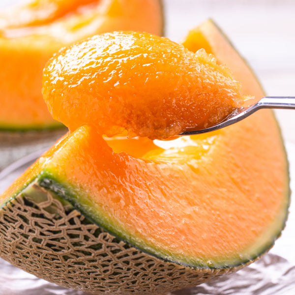 MICRODIET １１食セット ふらのメロン 5食入ストロベリー6食 AdobeStock_436165193_600x600_c