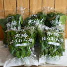 【北海道産】寒締ほうれん草［5袋］