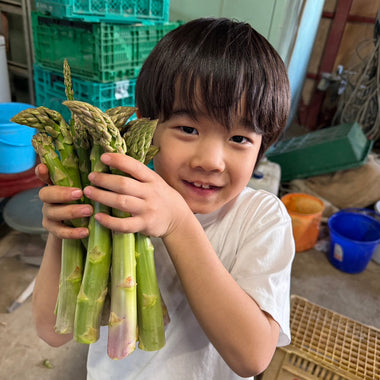 【北海道産】春アスパラ（ハウス栽培）［L〜2Lサイズ1kg］