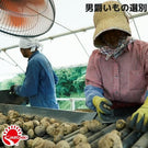 【北海道北見市産】じゃがいも男爵 L［10㎏］