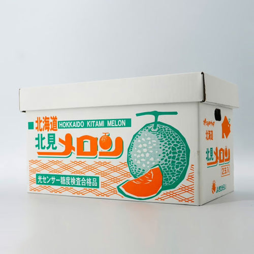 【北海道北見市産】メロン特優品［2玉］