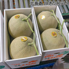 【北海道北見市産】メロン特優品［2玉］