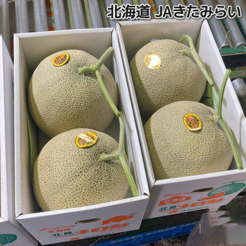 【北海道北見市産】メロン特優品［2玉］
