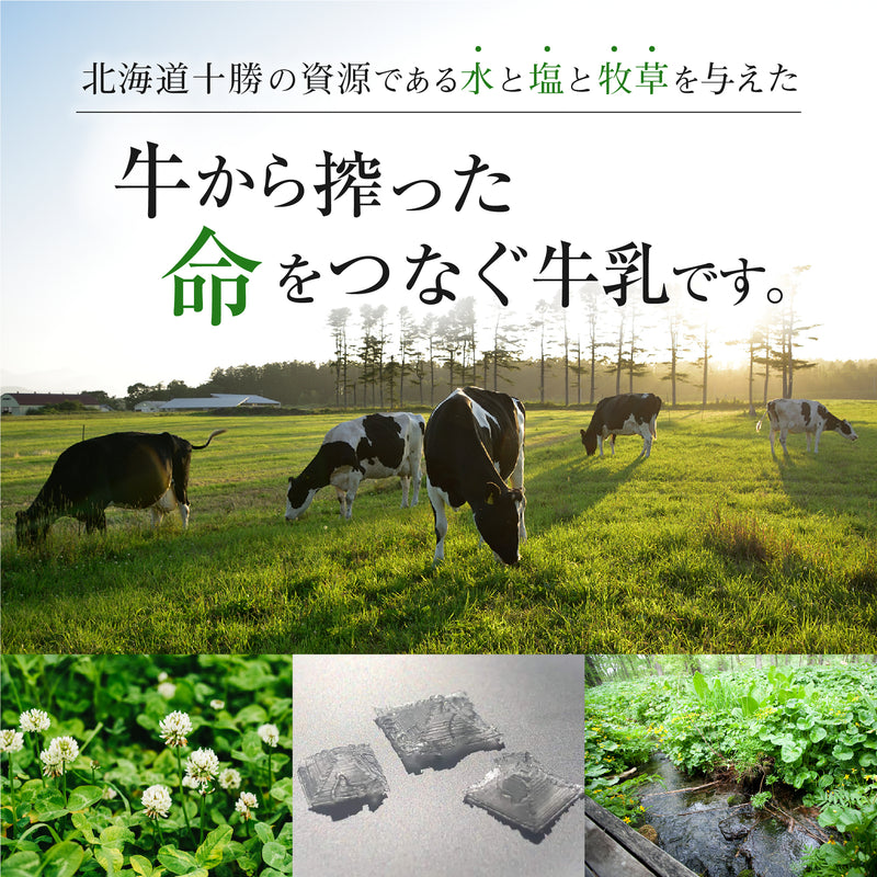 北海道・十勝 鈴木牧場】アイスクリーム［プレミアムミルク×6個］のお
