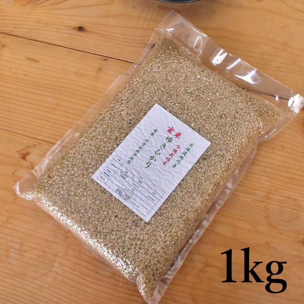 北海道米】農薬不使用・合鴨農法栽培米 ゆきひかり 玄米［1kg