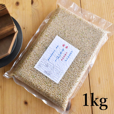 【北海道米】農薬不使用・合鴨農法栽培米 ななつぼし 玄米［1kg/5kg］