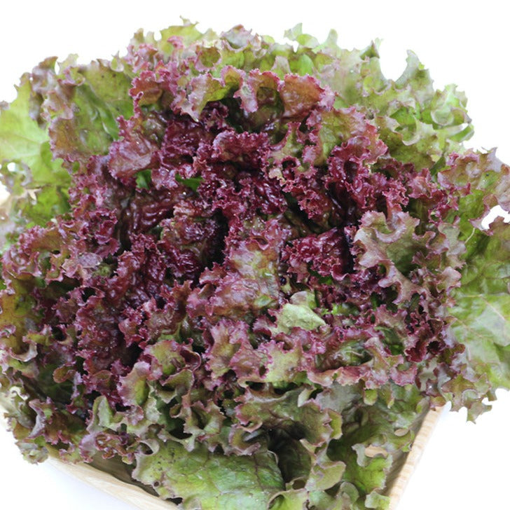 北海道の農家直送】旬の無農薬野菜の詰め合わせ[6～8種類] - MOA自然 