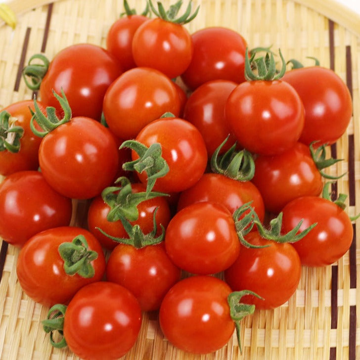 トマト♡様 リクエスト 6点 まとめ商品 トマトジュース あかい夢/きいろい夢［2本セット］のお取り寄せ