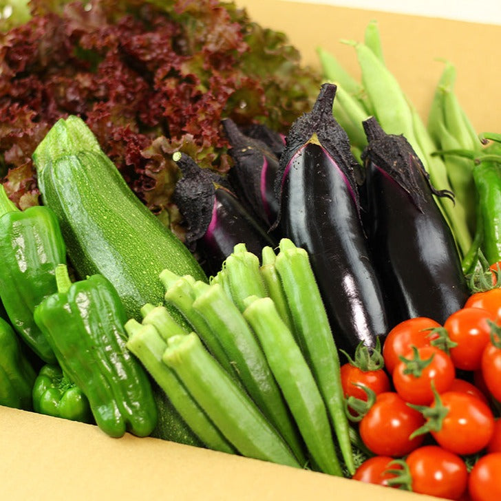 北海道の農家直送】旬の無農薬野菜の詰め合わせ[6～8種類] - MOA