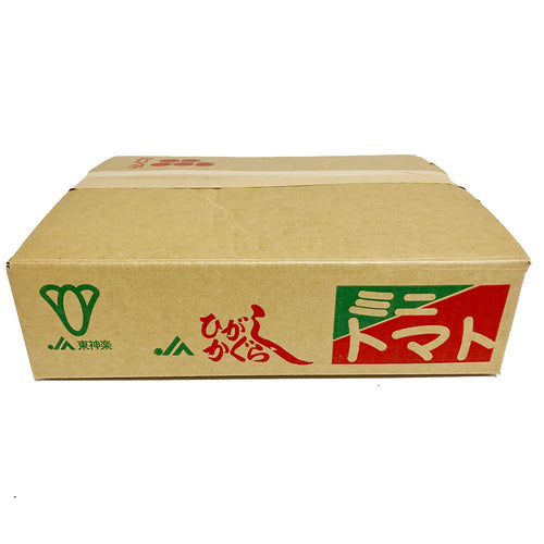 【北海道東神楽産】ミックストマト（5色ミニトマト：茶 橙 桃 黄 緑）3kg